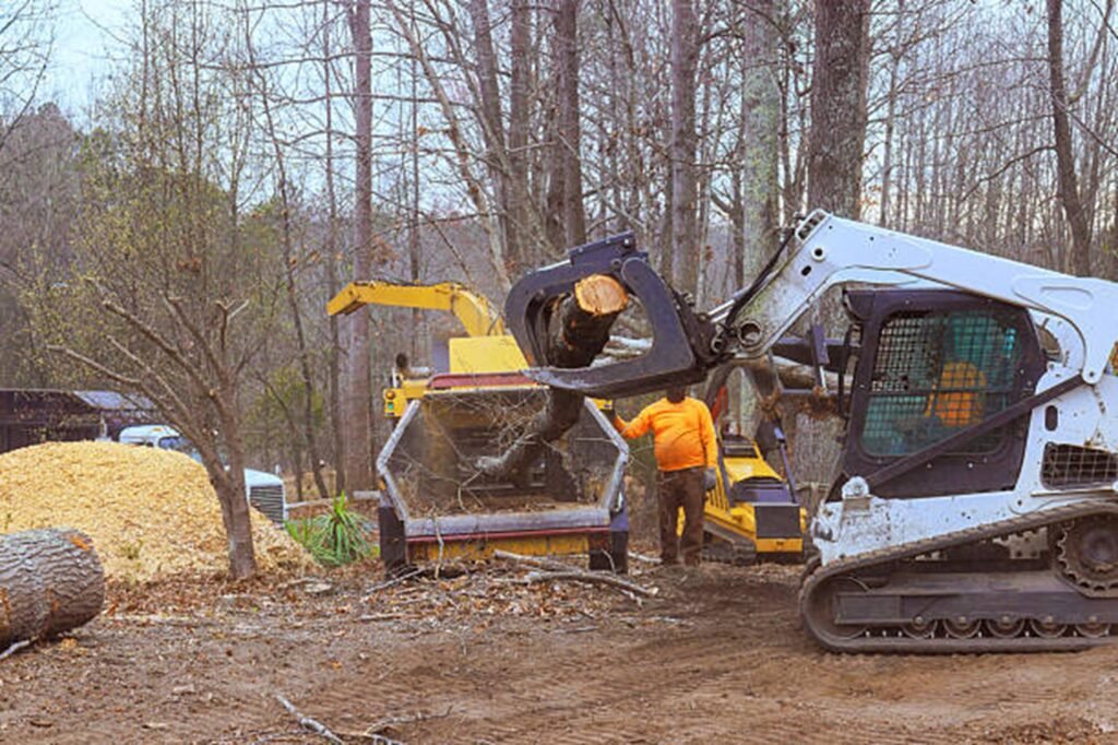 Tree stump completely removed and ground down in Twinsburg, OH residential yard