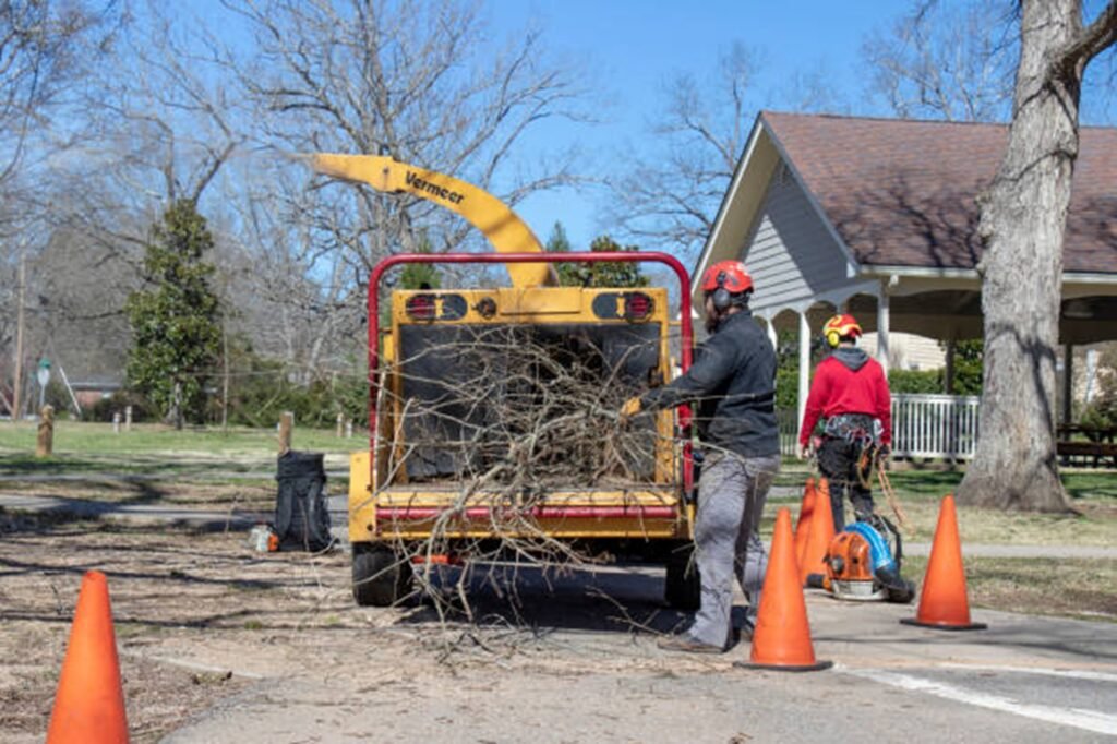 Tree service team loading branches into the wood chipper during a cleanup job in Twinsburg, OH