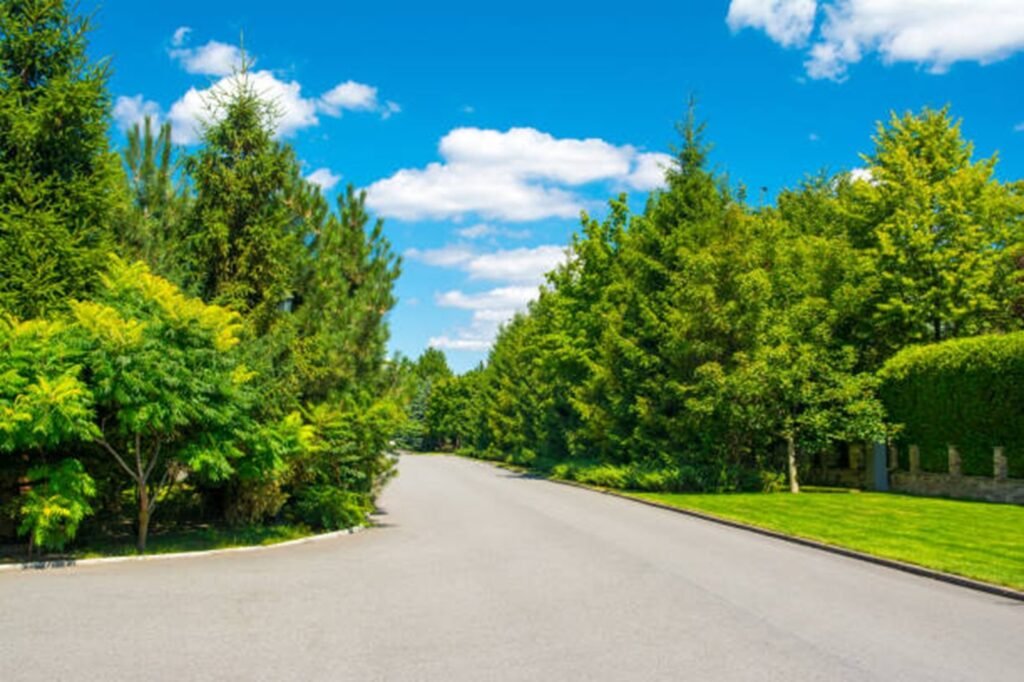 Storm cleanup and debris removal after tree damage in Twinsburg, OH