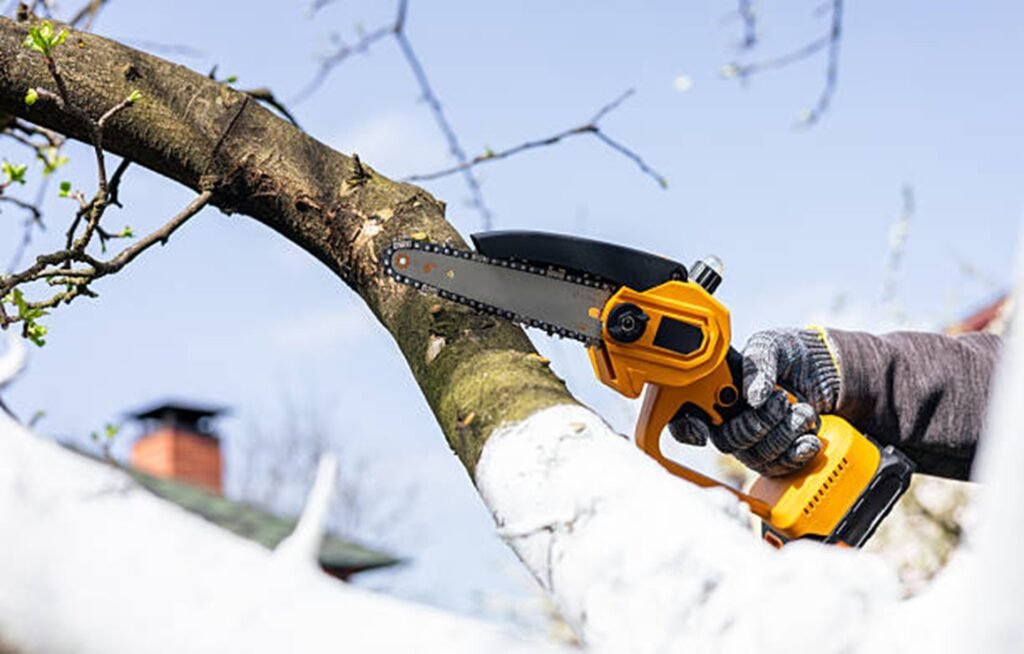 Tree trimming service cutting high branches using power saw in Twinsburg, OH
