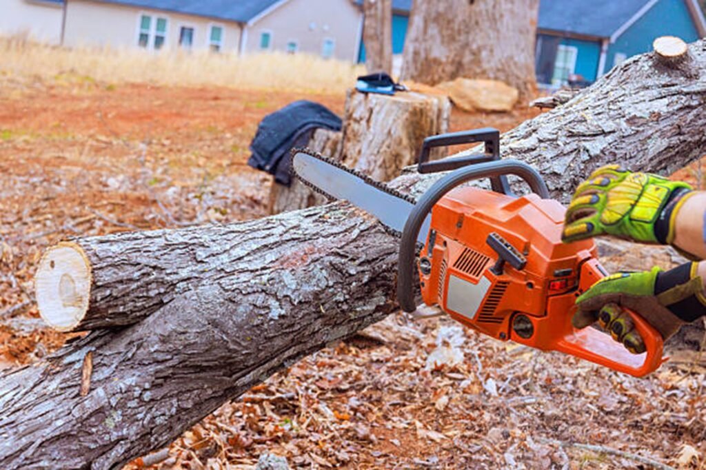 Chainsaw cutting large tree trunk during professional tree removal service in Twinsburg, OH