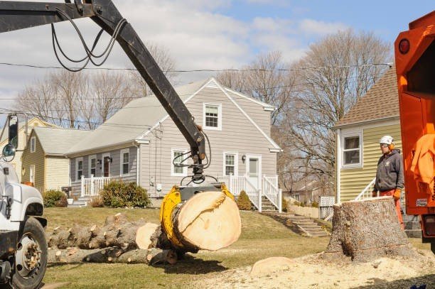 Crane lifting a heavy tree trunk during emergency tree removal service in Twinsburg, OH