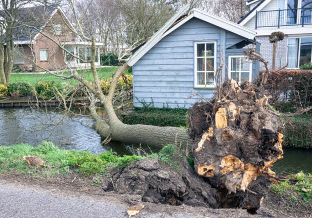 Uprooted tree with exposed roots after storm damage near residential home in Twinsburg, OH