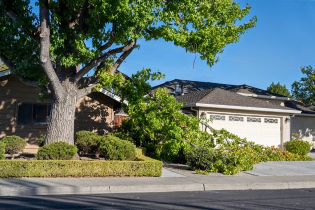 Fallen tree blocking driveway and damaging property during storm cleanup in Twinsburg, OH
