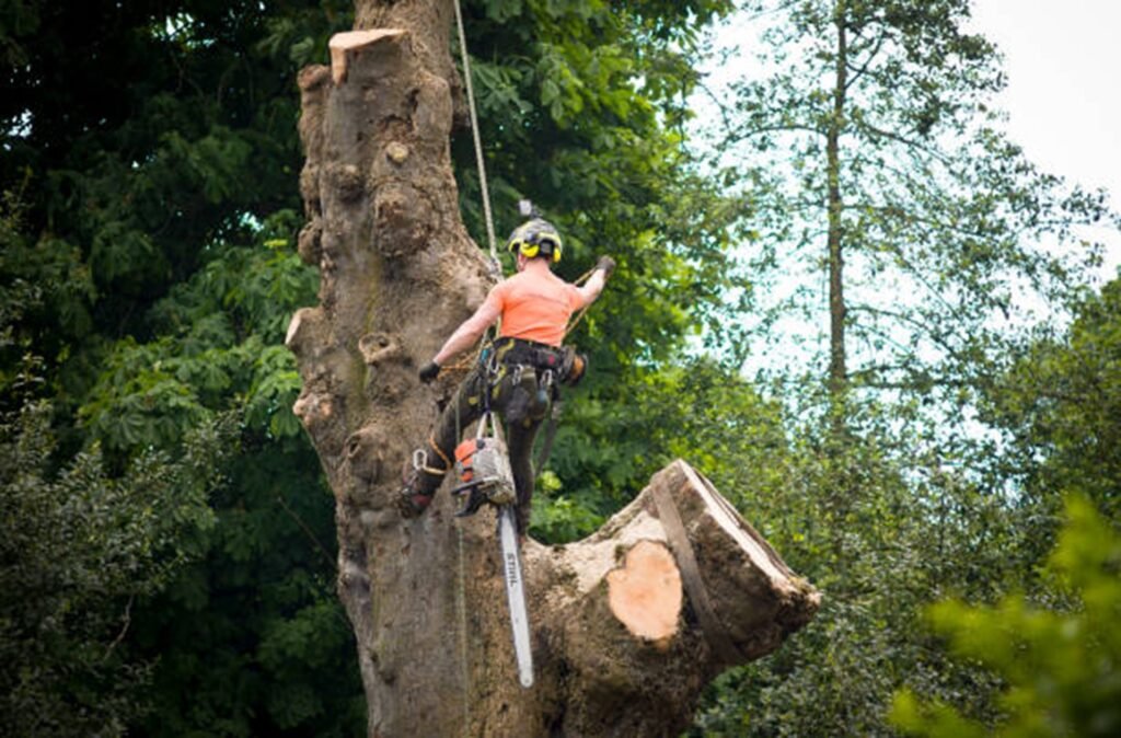 An arborist cutting a large tree trunk using a chainsaw during tree removal in Twinsburg, OH