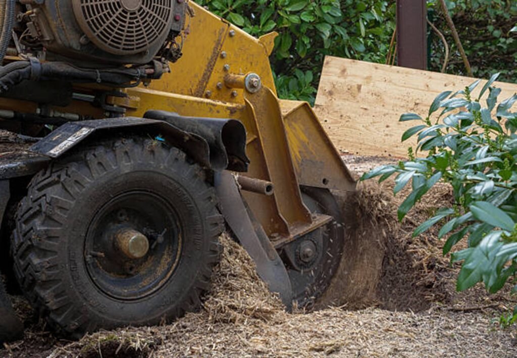 Professional stump grinding equipment removing a tree stump in Twinsburg, OH