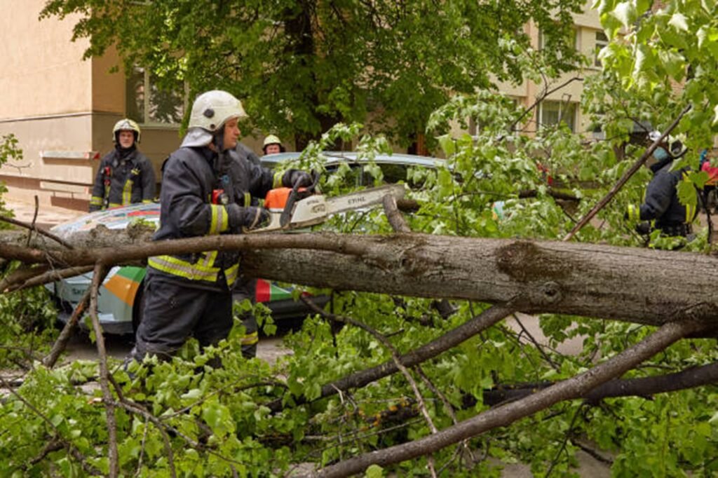 Emergency tree removal crew handling fallen tree and hazardous branches in Twinsburg, OH